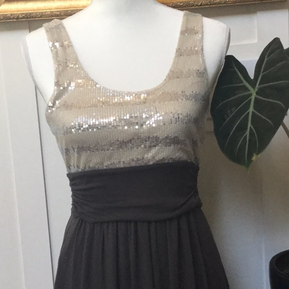 Express Dress - Picture 3 of 5